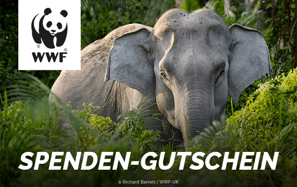 WWF